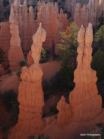 Bryce -1 #24-14-CandleBrycePA010666